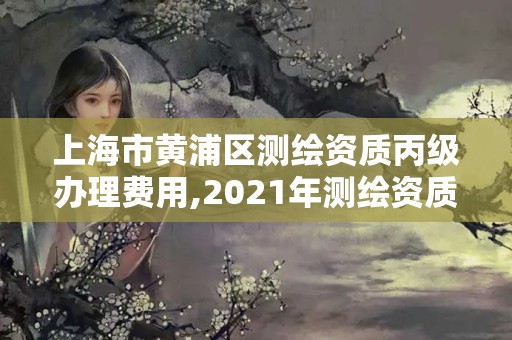 上海市黄浦区测绘资质丙级办理费用,2021年测绘资质丙级申报条件