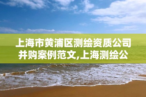 上海市黄浦区测绘资质公司并购案例范文,上海测绘公司排名名单。