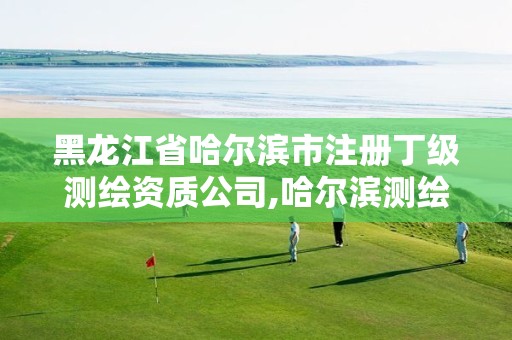 黑龙江省哈尔滨市注册丁级测绘资质公司,哈尔滨测绘有限公司