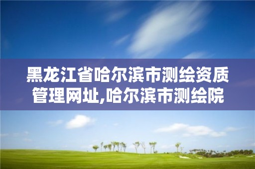 黑龙江省哈尔滨市测绘资质管理网址,哈尔滨市测绘院