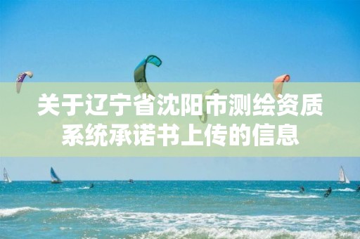 关于辽宁省沈阳市测绘资质系统承诺书上传的信息