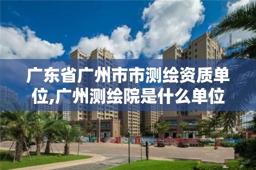 广东省广州市市测绘资质单位,广州测绘院是什么单位