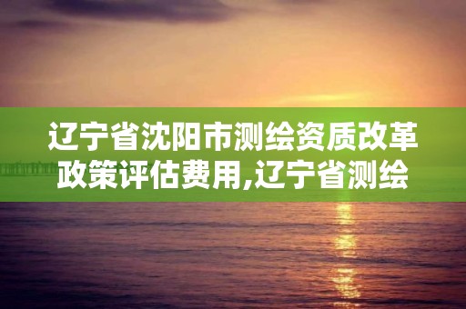 辽宁省沈阳市测绘资质改革政策评估费用,辽宁省测绘资质延期。