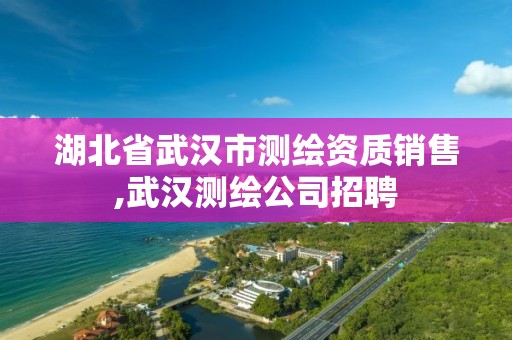 湖北省武汉市测绘资质销售,武汉测绘公司招聘