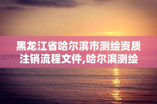 黑龙江省哈尔滨市测绘资质注销流程文件,哈尔滨测绘局位置