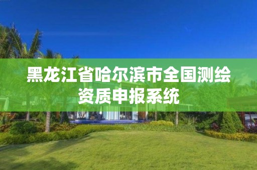 黑龙江省哈尔滨市全国测绘资质申报系统