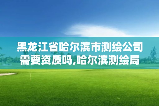 黑龙江省哈尔滨市测绘公司需要资质吗,哈尔滨测绘局幼儿园是民办还是公办