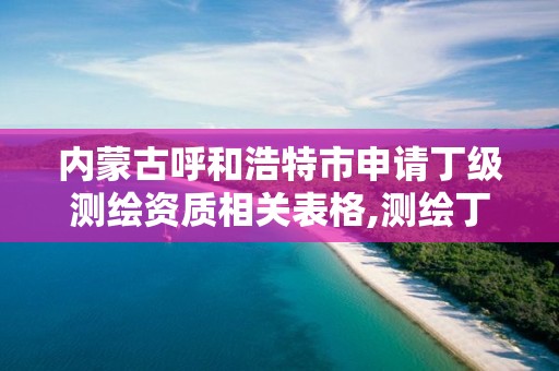 内蒙古呼和浩特市申请丁级测绘资质相关表格,测绘丁级资质申报条件