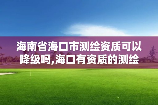 海南省海口市测绘资质可以降级吗,海口有资质的测绘公司