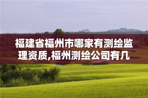 福建省福州市哪家有测绘监理资质,福州测绘公司有几家。