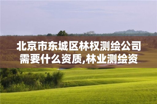 北京市东城区林权测绘公司需要什么资质,林业测绘资质哪里办理。