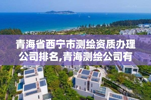 青海省西宁市测绘资质办理公司排名,青海测绘公司有哪些