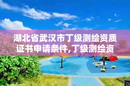 湖北省武汉市丁级测绘资质证书申请条件,丁级测绘资质人员要求。