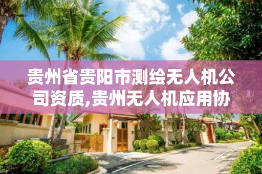 贵州省贵阳市测绘无人机公司资质,贵州无人机应用协会