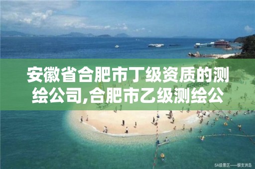 安徽省合肥市丁级资质的测绘公司,合肥市乙级测绘公司。