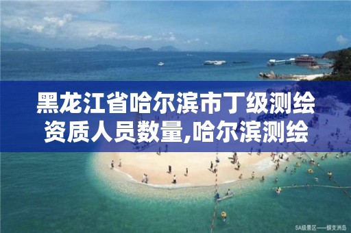 黑龙江省哈尔滨市丁级测绘资质人员数量,哈尔滨测绘局工资怎么样