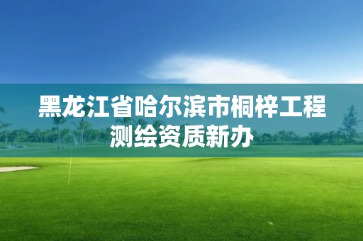 黑龙江省哈尔滨市桐梓工程测绘资质新办