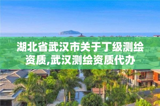 湖北省武汉市关于丁级测绘资质,武汉测绘资质代办