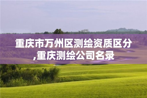 重庆市万州区测绘资质区分,重庆测绘公司名录