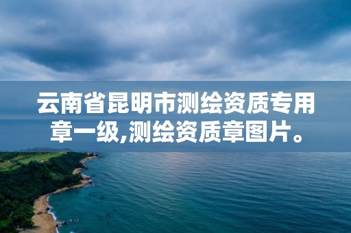 云南省昆明市测绘资质专用章一级,测绘资质章图片。