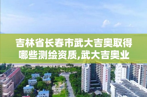 吉林省长春市武大吉奥取得哪些测绘资质,武大吉奥业内怎么样。