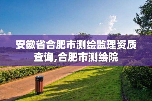 安徽省合肥市测绘监理资质查询,合肥市测绘院