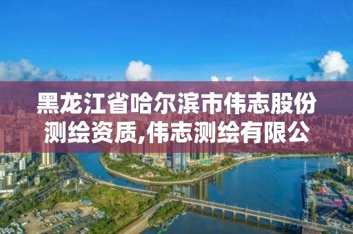 黑龙江省哈尔滨市伟志股份测绘资质,伟志测绘有限公司