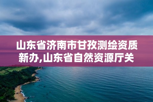 山东省济南市甘孜测绘资质新办,山东省自然资源厅关于延长测绘资质证书有效期的公告