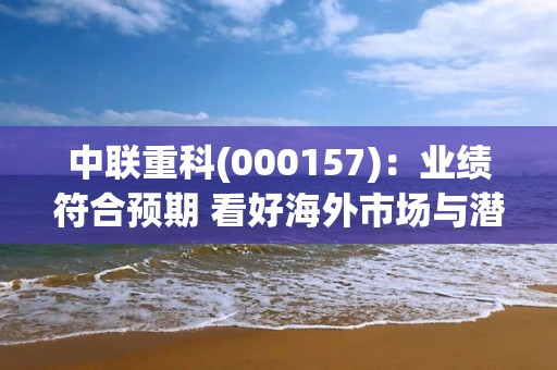 中联重科(000157)：业绩符合预期 看好海外市场与潜力业务增长