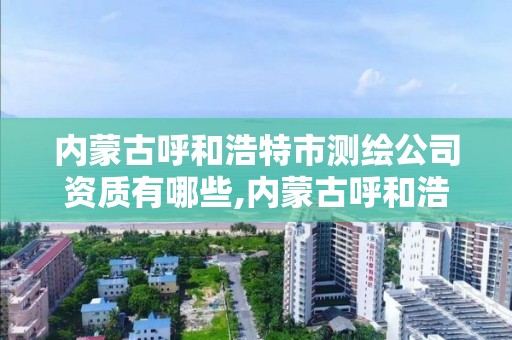 内蒙古呼和浩特市测绘公司资质有哪些,内蒙古呼和浩特市测绘公司资质有哪些企业