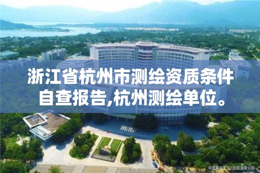 浙江省杭州市测绘资质条件自查报告,杭州测绘单位。