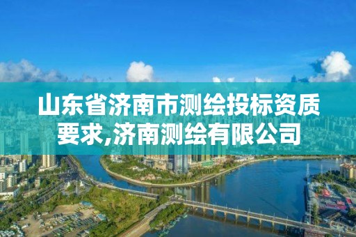 山东省济南市测绘投标资质要求,济南测绘有限公司