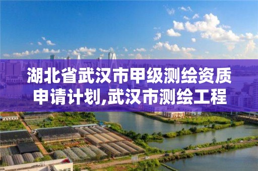 湖北省武汉市甲级测绘资质申请计划,武汉市测绘工程技术规定