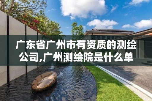 广东省广州市有资质的测绘公司,广州测绘院是什么单位