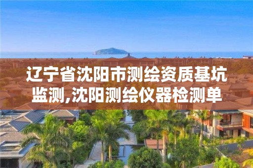 辽宁省沈阳市测绘资质基坑监测,沈阳测绘仪器检测单位