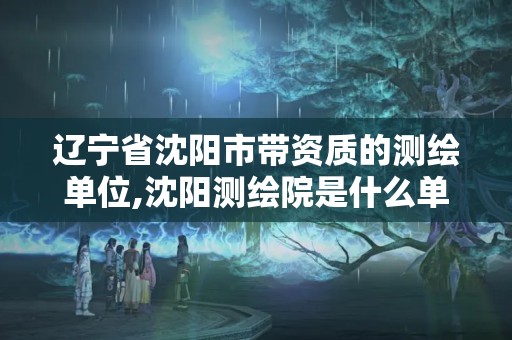 辽宁省沈阳市带资质的测绘单位,沈阳测绘院是什么单位。