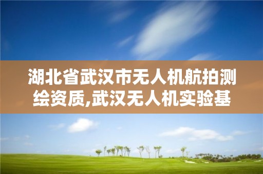 湖北省武汉市无人机航拍测绘资质,武汉无人机实验基地