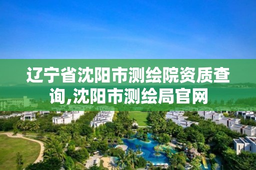 辽宁省沈阳市测绘院资质查询,沈阳市测绘局官网