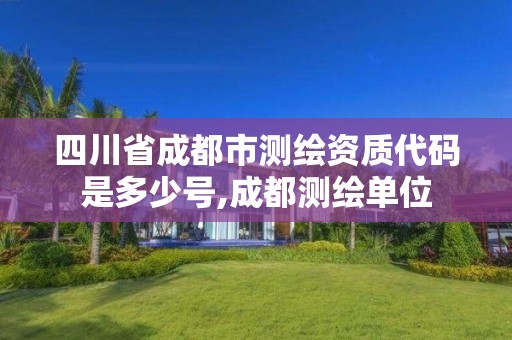 四川省成都市测绘资质代码是多少号,成都测绘单位