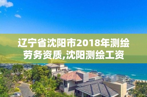 辽宁省沈阳市2018年测绘劳务资质,沈阳测绘工资