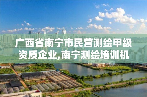 广西省南宁市民营测绘甲级资质企业,南宁测绘培训机构