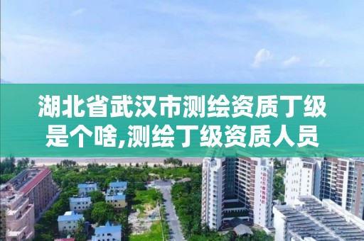 湖北省武汉市测绘资质丁级是个啥,测绘丁级资质人员条件。