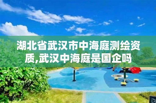 湖北省武汉市中海庭测绘资质,武汉中海庭是国企吗