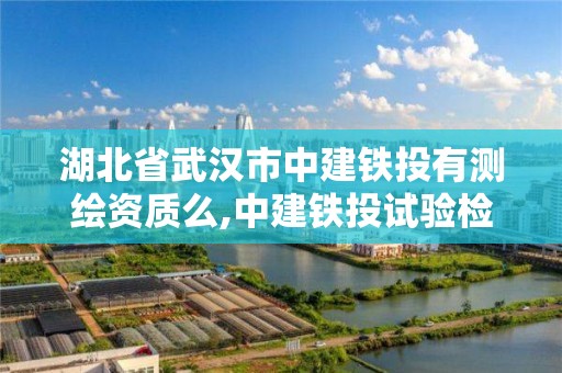 湖北省武汉市中建铁投有测绘资质么,中建铁投试验检测有限公司是国企吗。