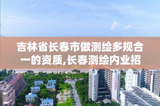 吉林省长春市做测绘多规合一的资质,长春测绘内业招聘。