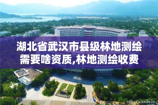 湖北省武汉市县级林地测绘需要啥资质,林地测绘收费标准