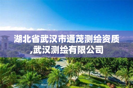 湖北省武汉市通茂测绘资质,武汉测绘有限公司