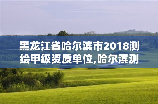 黑龙江省哈尔滨市2018测绘甲级资质单位,哈尔滨测绘专科学校