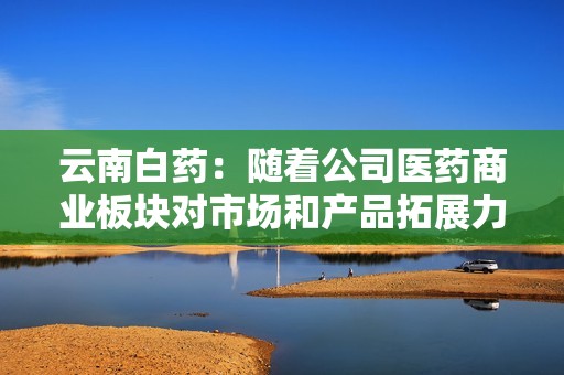 云南白药：随着公司医药商业板块对市场和产品拓展力度的不断加强，流程效率的不断提升，营业收入增长明显