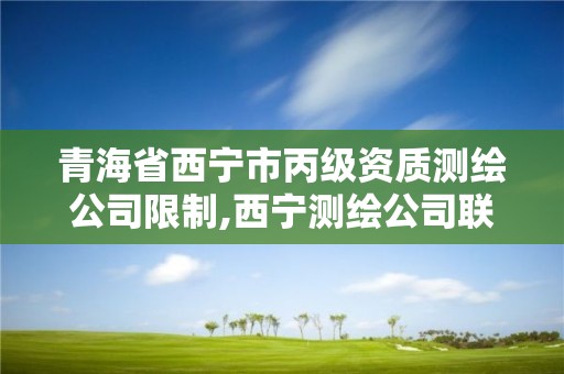 青海省西宁市丙级资质测绘公司限制,西宁测绘公司联系方式